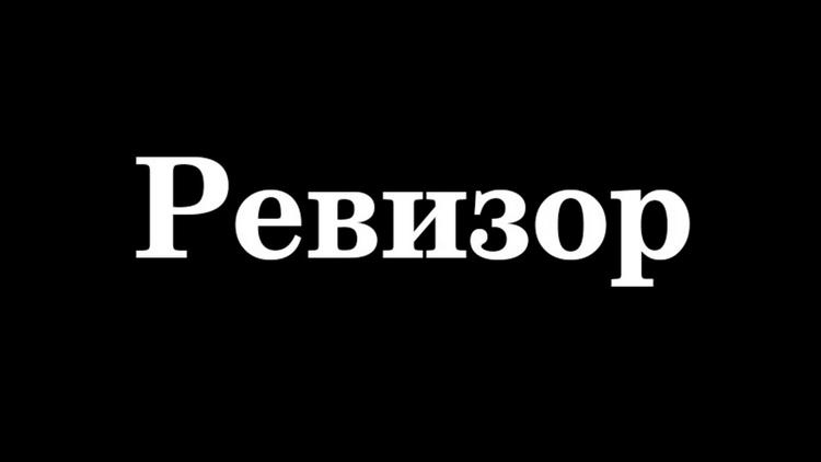 Постер Ревизор