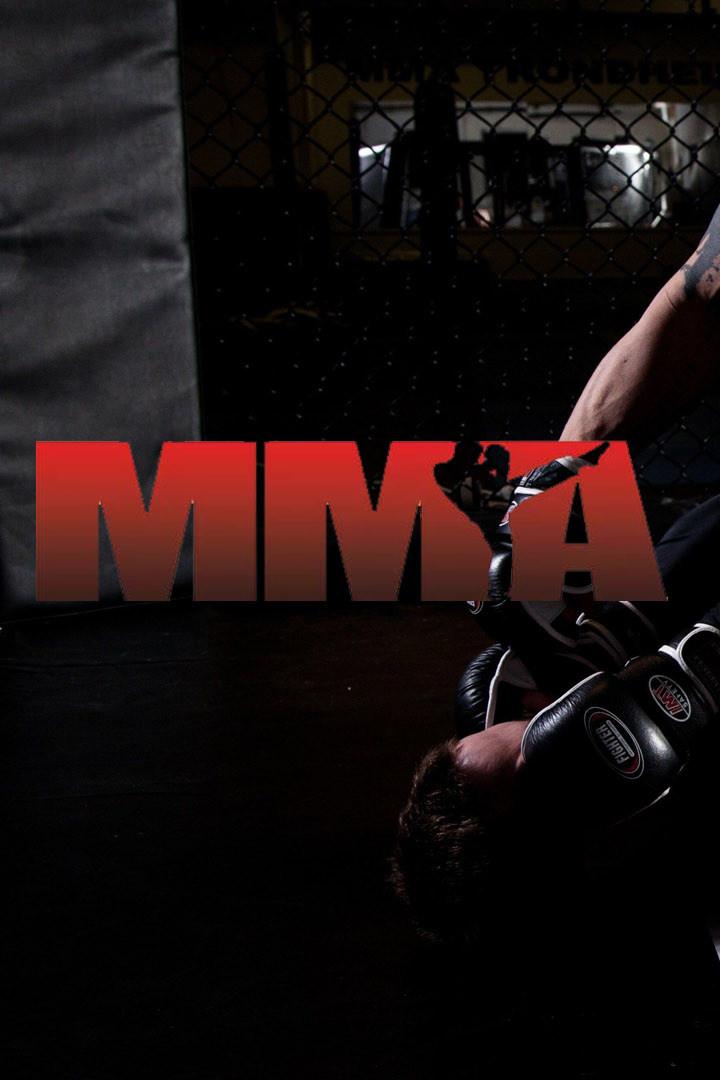 Mixed Martial Arts (mixed-martial-arts) ТВ-шоу