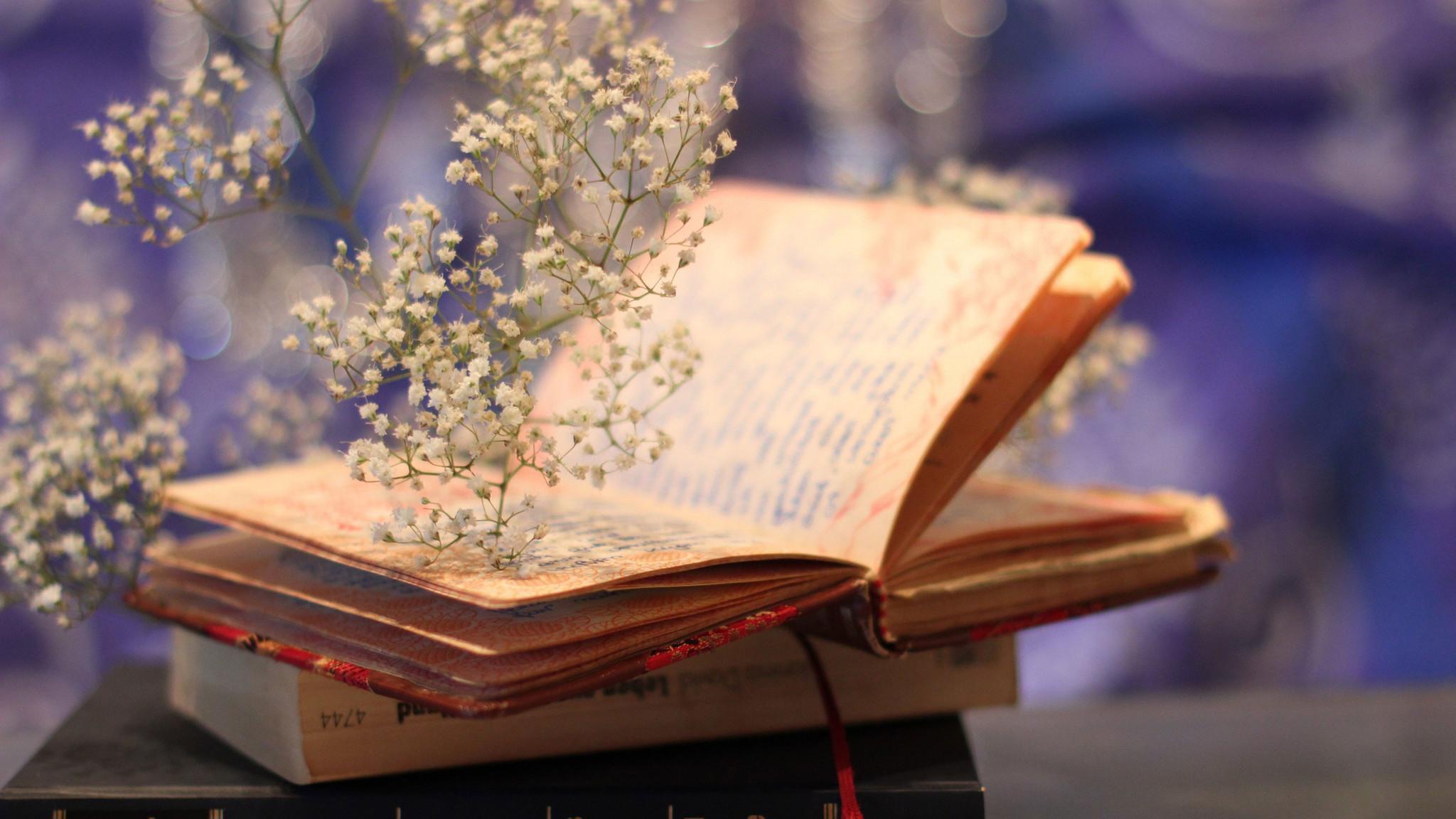 Праздник книги-2019 (prazdnik-knigi-2019) Досуг, хобби