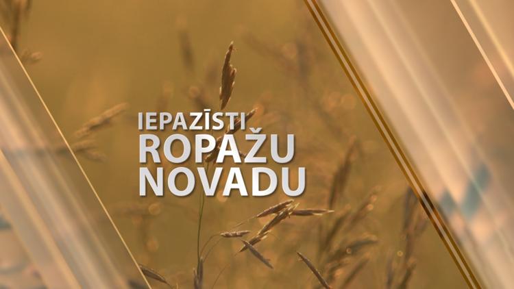 Постер Iepazīsti Ropažu novadu