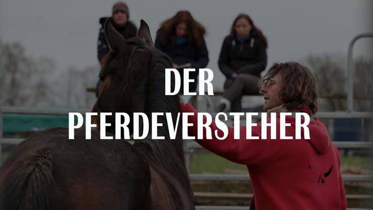 Постер Der Pferdeversteher