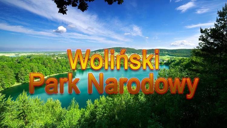 Постер Woliński Park Narodowy