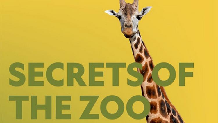 Постер Secrets of the Zoo: All Access