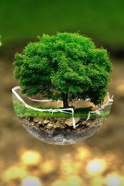 Protecting Our Planet (protecting-our-planet) Документальный фильм