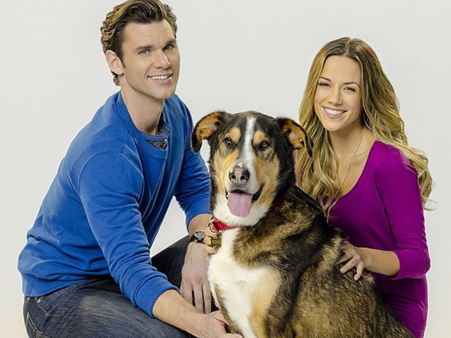 Любовь с первого лая (ljubov-s-pervogo-laja) Фильм 2017