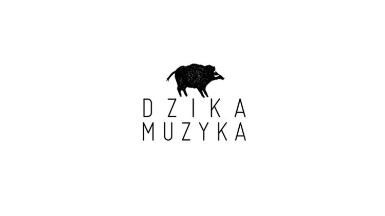 Постер Dzika muzyka