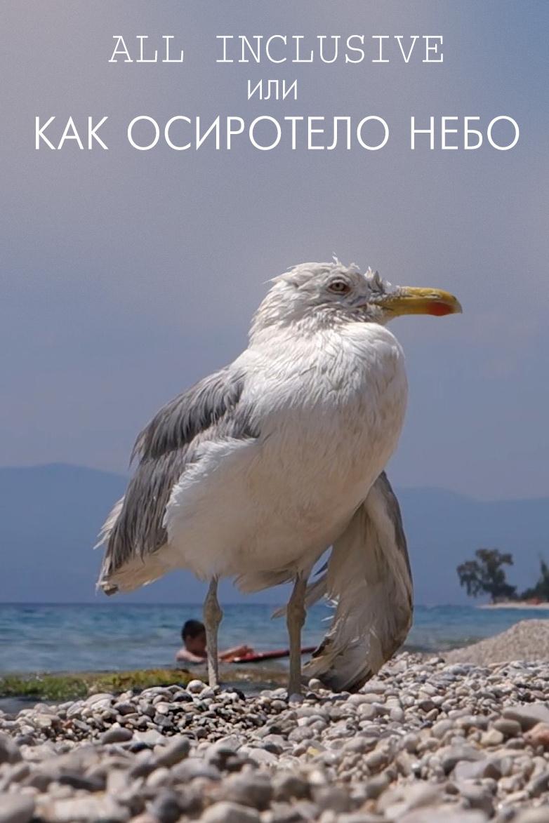 All inclusive, или Как осиротело небо (all-inclusive-ili-kak-osirotelo-nebo) Документальный фильм