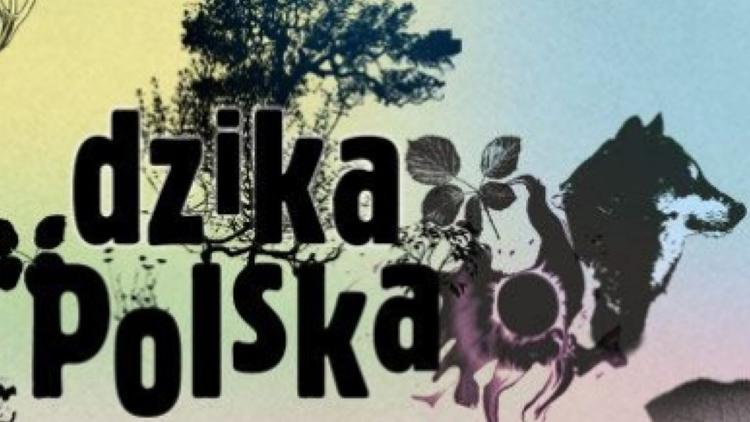 Постер Dzika Polska