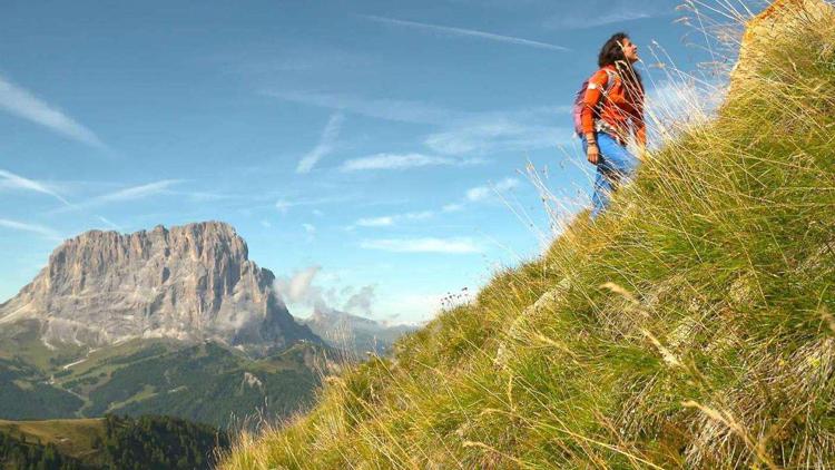 Постер Ein Sommer in Südtirol