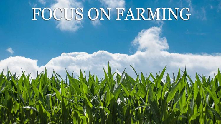 Постер Focus on Farming