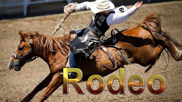 Постер Rodeo