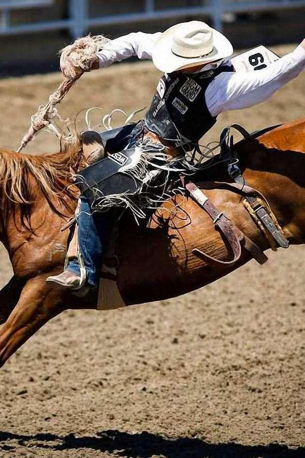 Rodeo (rodeo) Документальный фильм