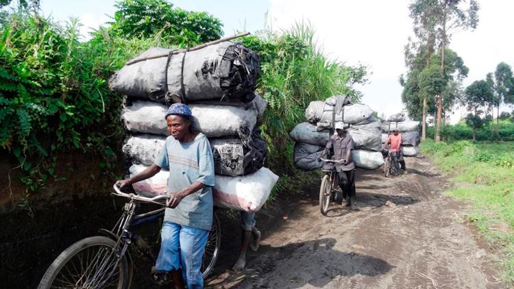 Постер Charcoal — An Environmental Disaster