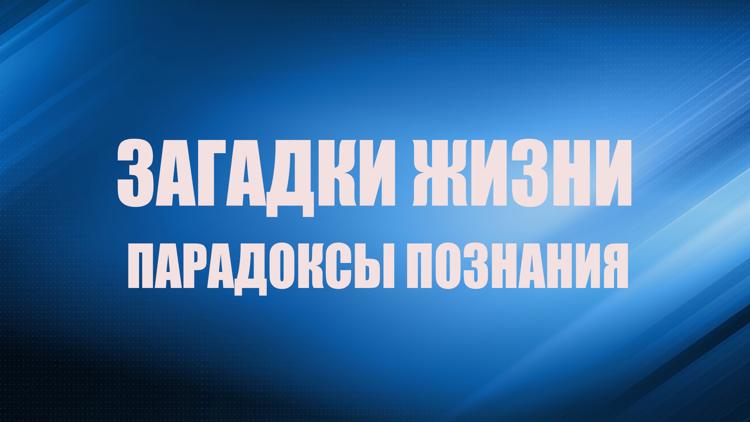 Постер Загадки жизни. Парадоксы познания