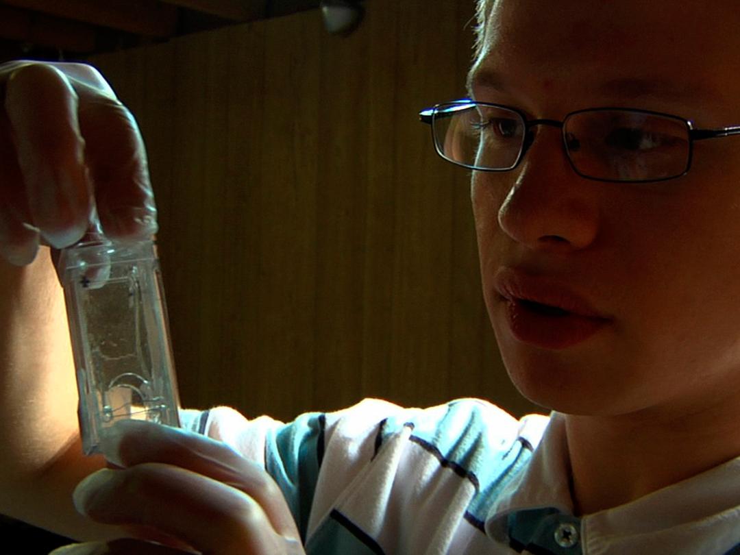 Идеалисты (idealisty) Документальный фильм