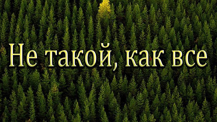 Постер Не такой, как все