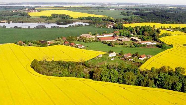 Постер Romantisches Mecklenburg — Tausend Seen und ein Meer