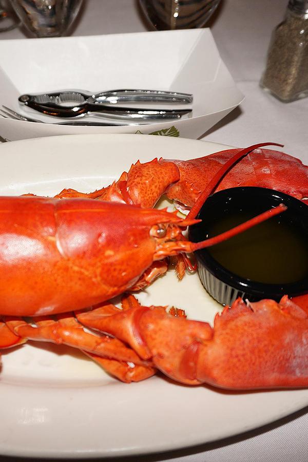 The Best Lobster Lunch for only $15 :-) (the-best-lobster-lunch-for-only-15) Досуг, хобби