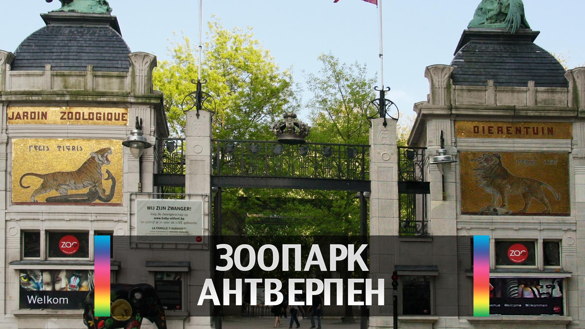 Зоопарк Антверпен (zoopark-antverpen) Досуг, хобби