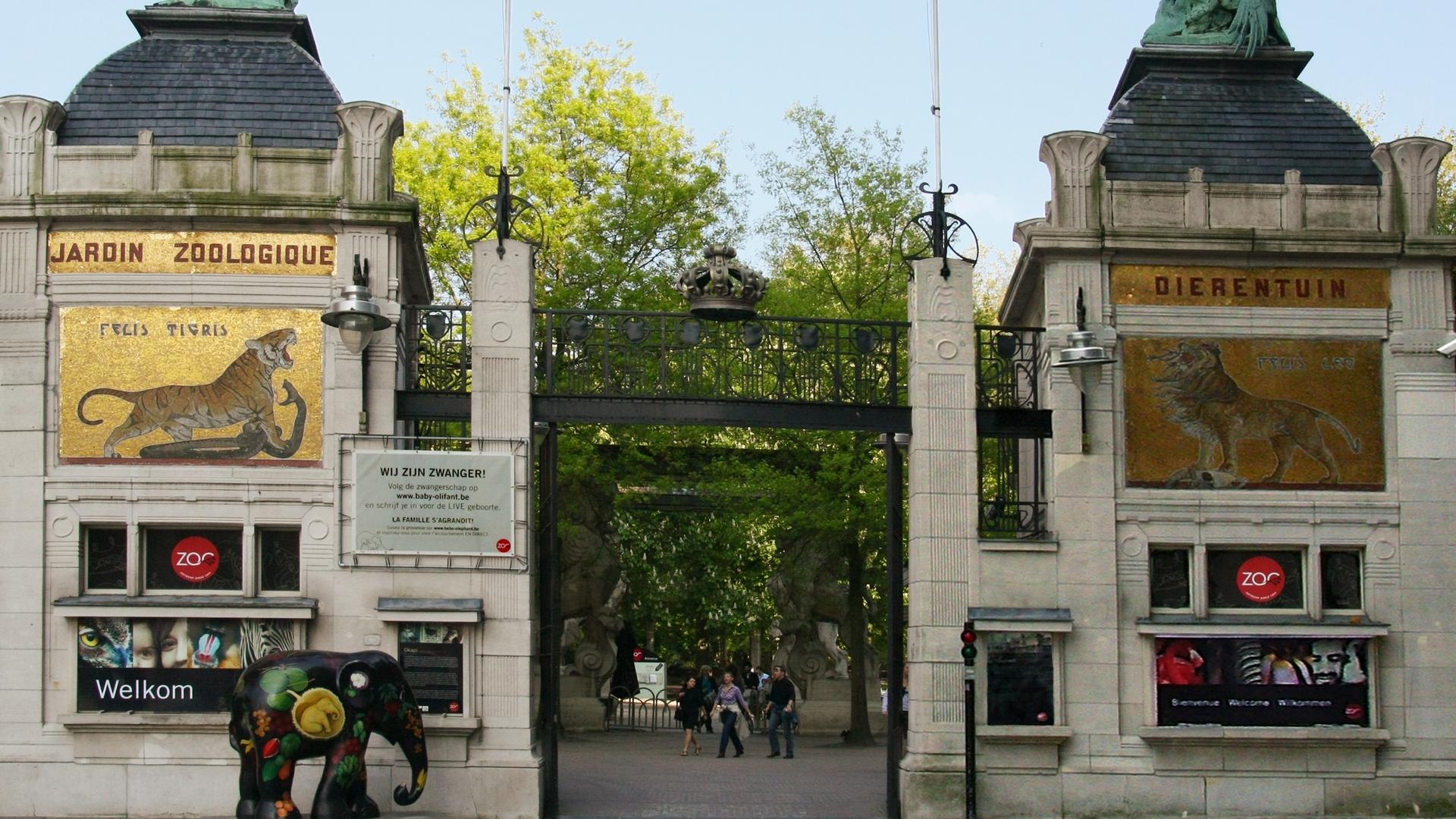 Зоопарк Антверпен (zoopark-antverpen) Досуг, хобби