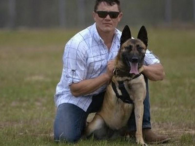 A Dog Saved My Life (a-dog-saved-my-life) Документальный фильм