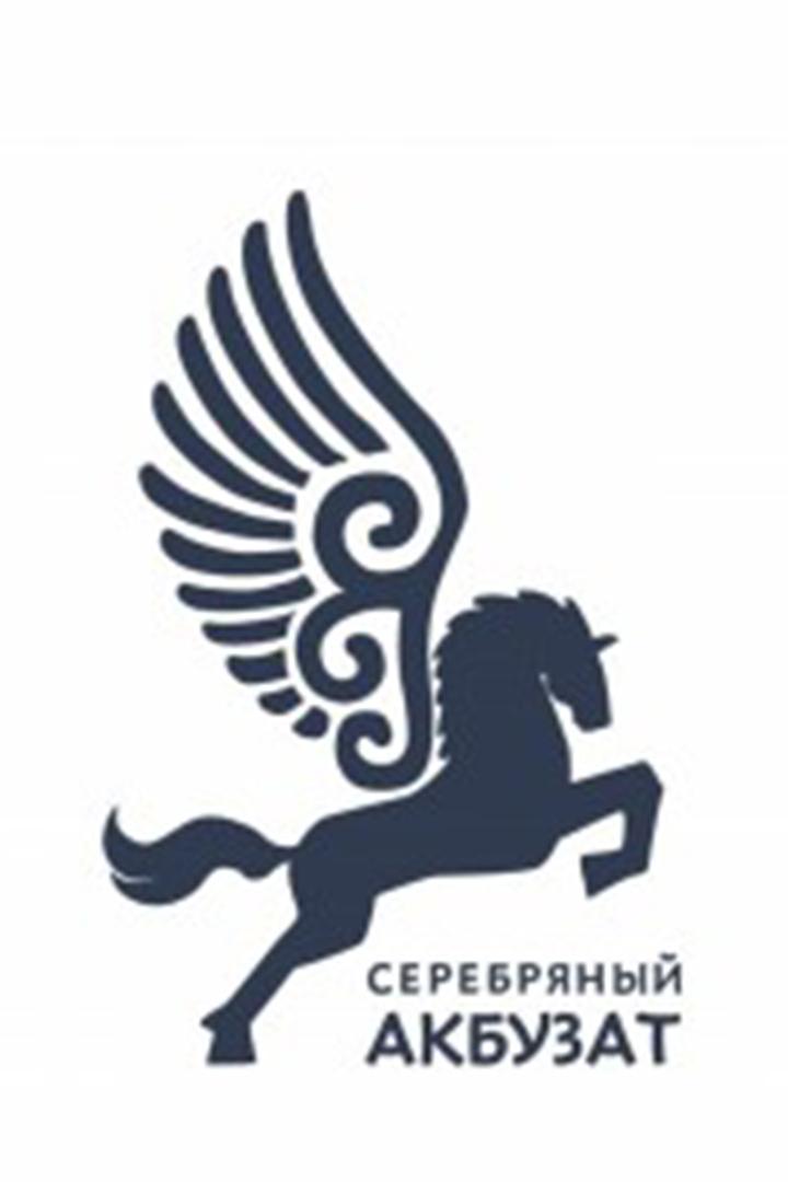 Церемония открытия IV Международного кинофестиваля «Серебряный Акбузат» (tseremonija-otkrytija-iv-mezhdunarodnogo-kinofestivalja-serebrjanyj-akbuzat) Досуг, хобби