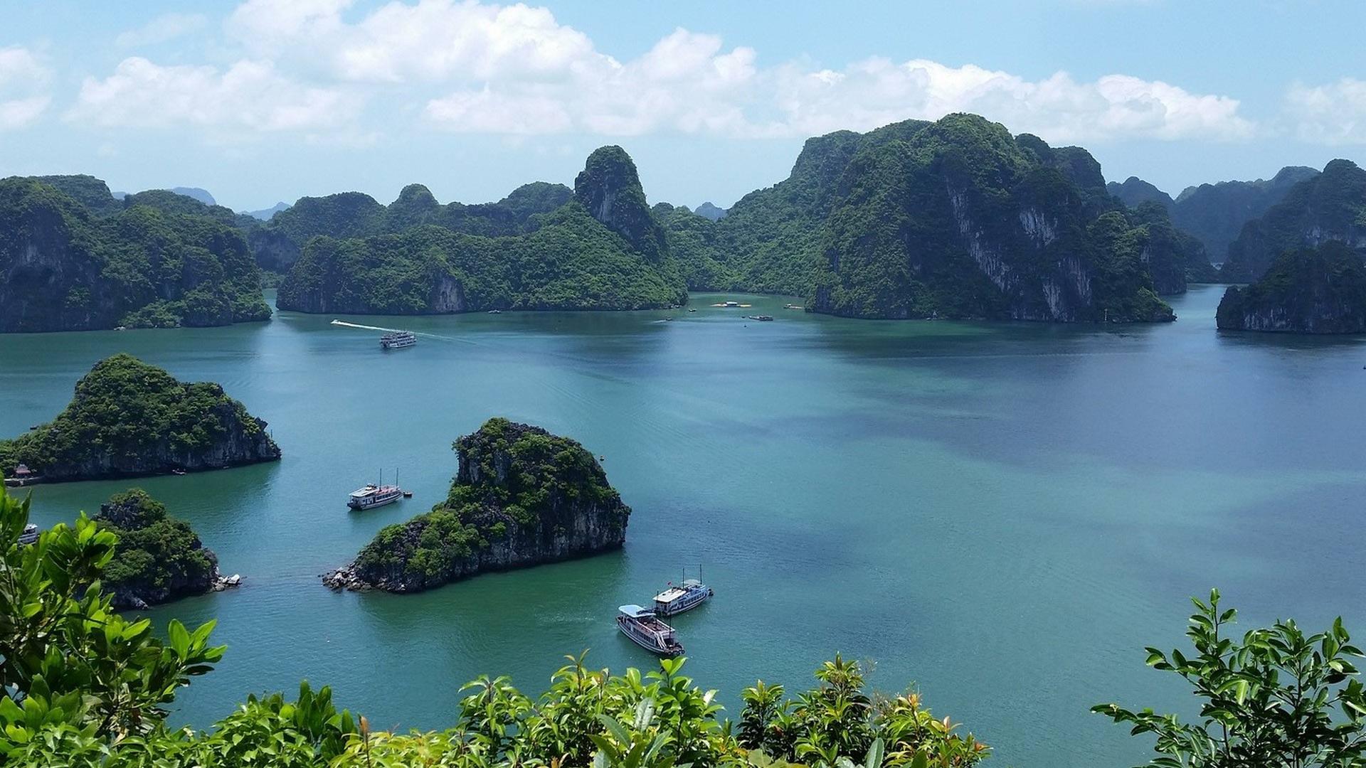 Живая природа островов Юго-Восточной Азии (zhivaja-priroda-ostrovov-jugo-vostochnoj-azii) Документальный сериал