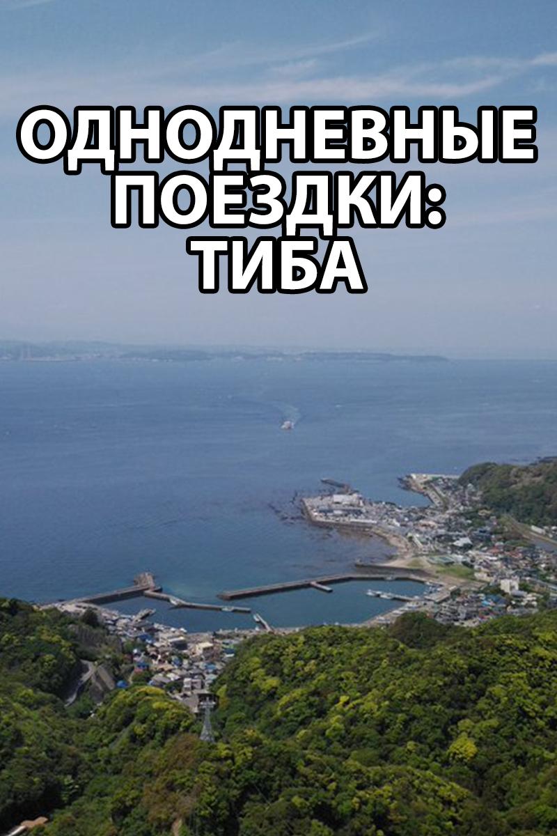Однодневные поездки: Тиба (odnodnevnye-poezdki-tiba) Документальный фильм