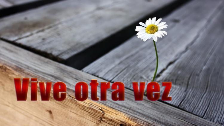 Постер Vive otra vez