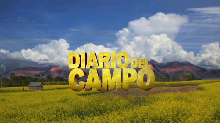 Постер Diario de campo