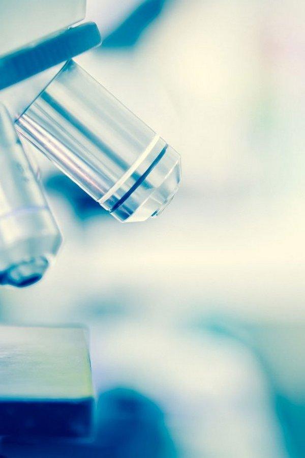 El laboratorio (el-laboratorio) Познавательное