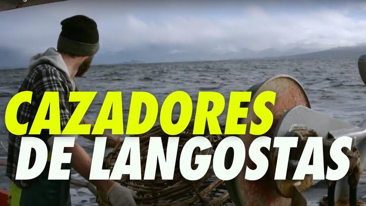 Постер Cazadores de langosta