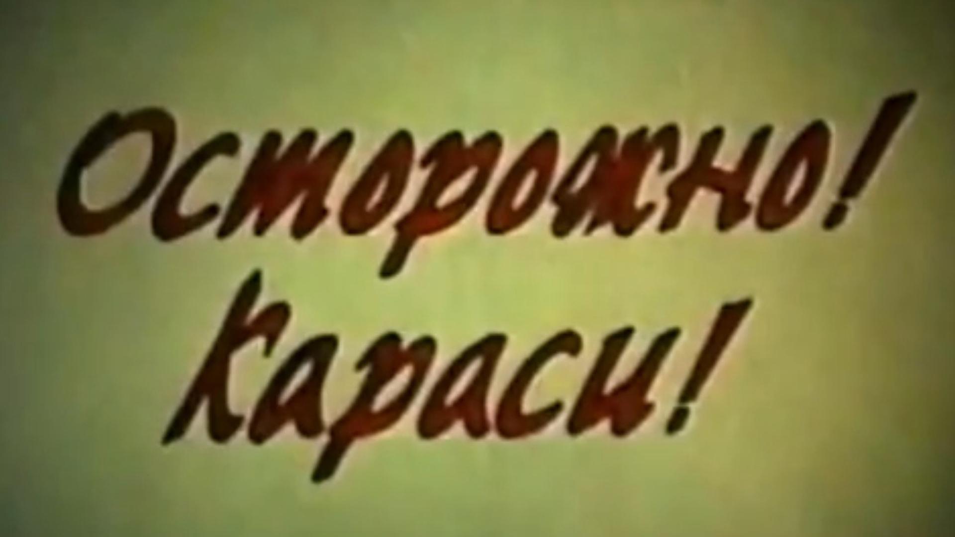 Осторожно, караси (ostorozhno-karasi) Мультфильм 1987