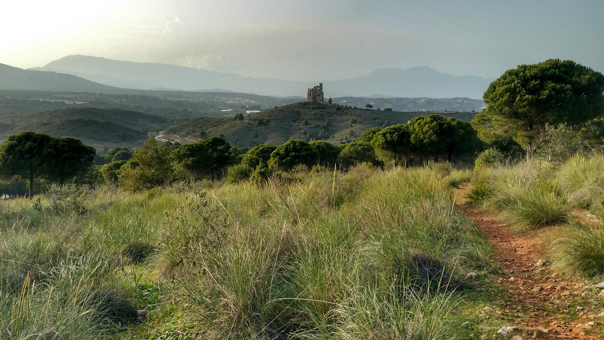 Montería entre acebuches y alcornoques (montera-entre-acebuches-y-alcornoques) Досуг, хобби