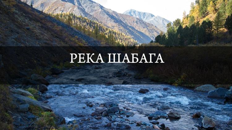 Постер Река Шабага