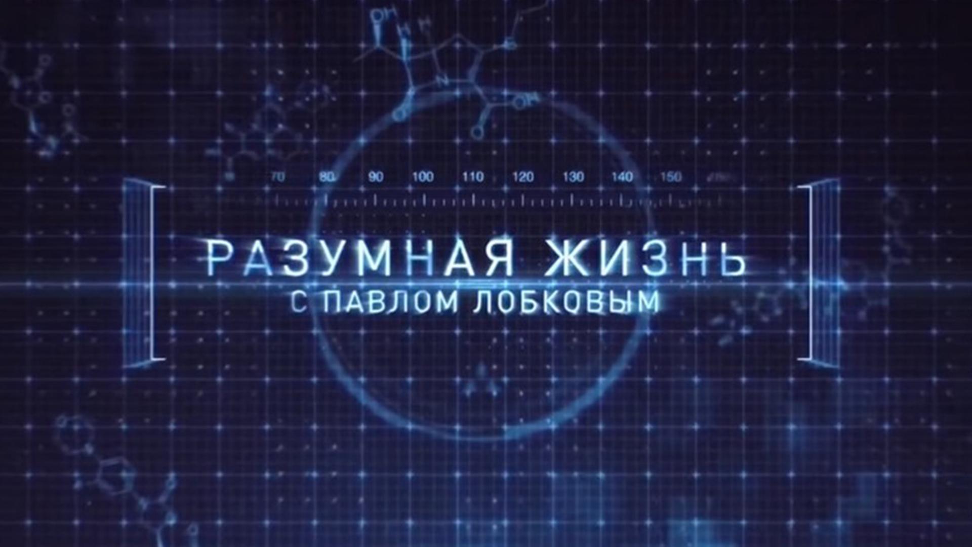 Разумная жизнь с Павлом Лобковым (razumnaja-zhizn-s-pavlom-lobkovym) ТВ-шоу