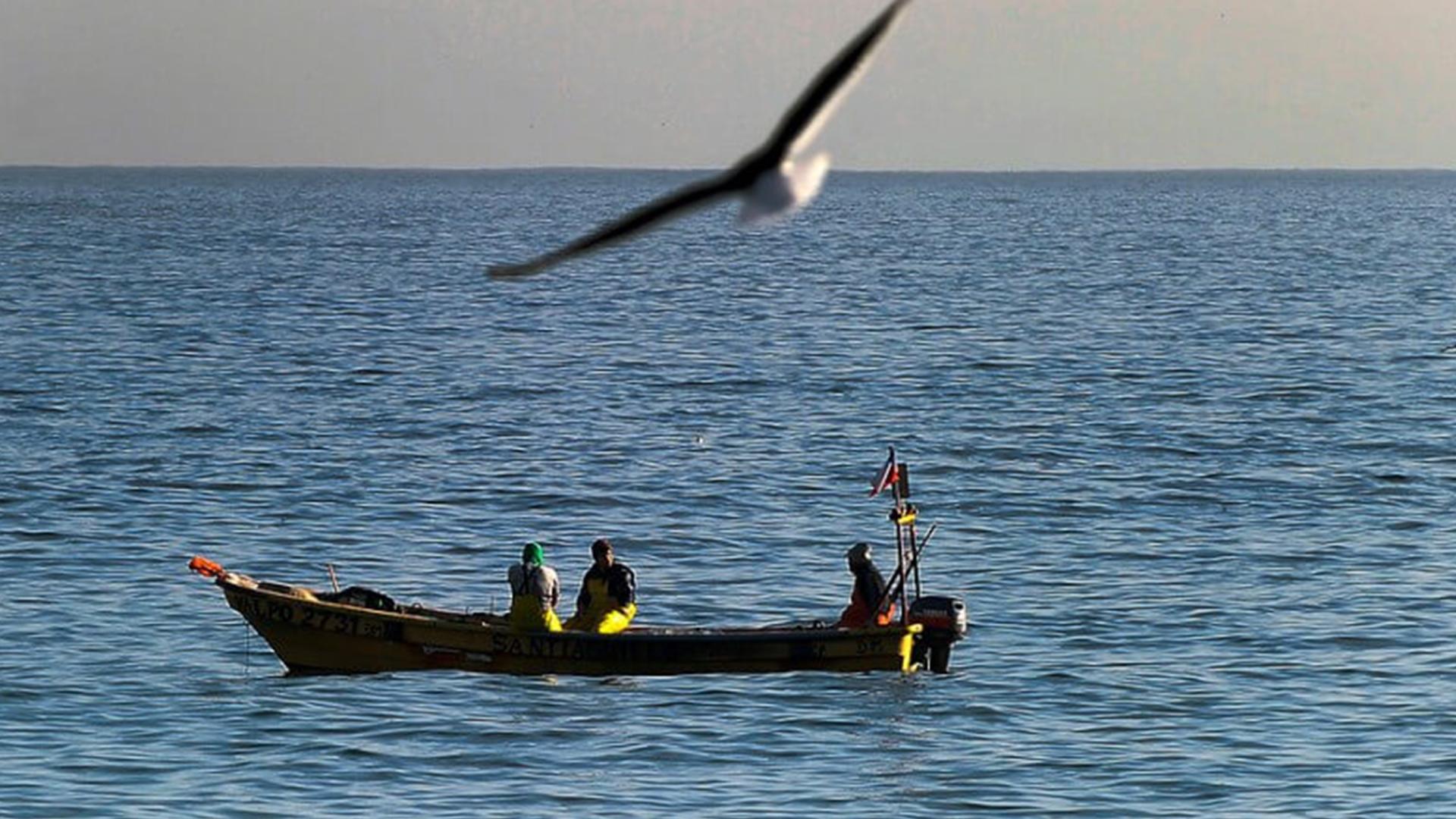 Piel de sal pesca submarina (piel-de-sal-pesca-submarina) Досуг, хобби
