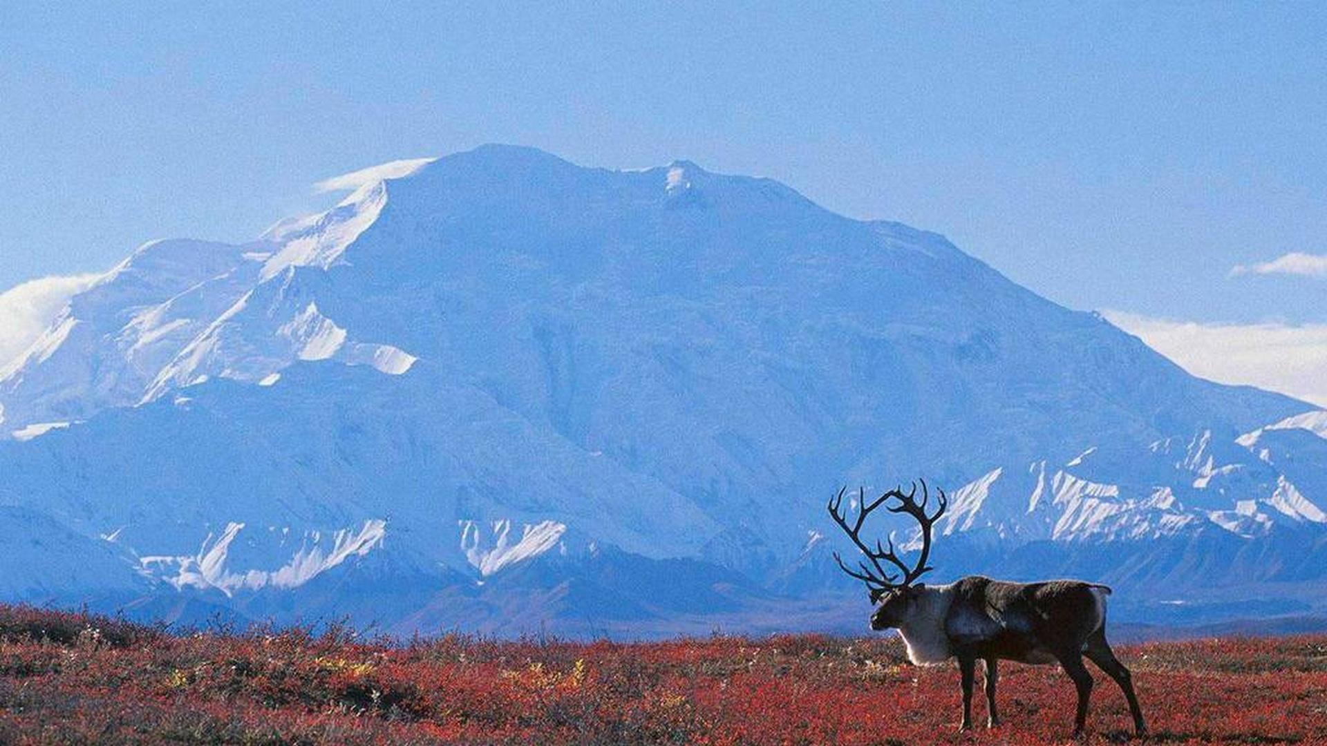 Где дремлют мамонты (gde-dremljut-mamonty) Документальный сериал