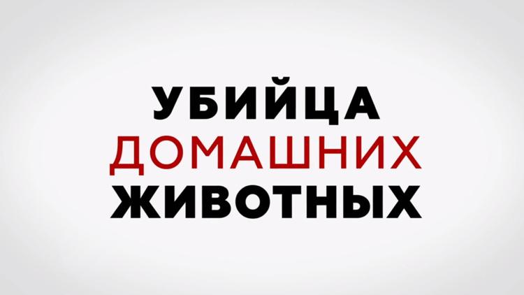 Постер Убийца домашних животных