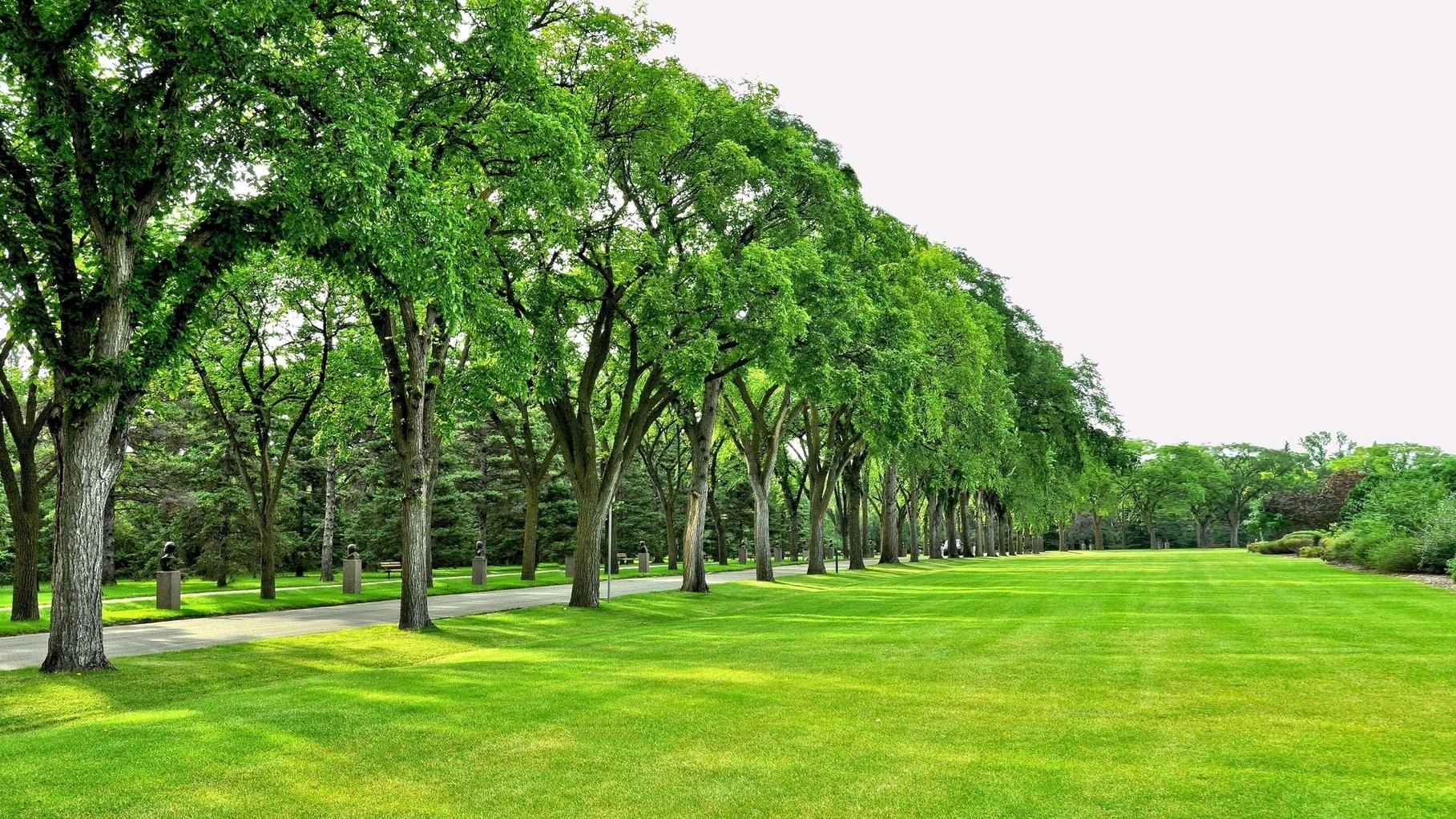 Строительство парка. Второе слушание (stroitelstvo-parka-vtoroe-slushanie) Познавательное