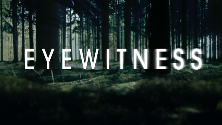 Постер Eyewitness