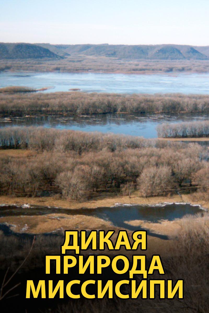 Дикая природа Миссисипи (dikaja-priroda-missisipi) Документальный сериал
