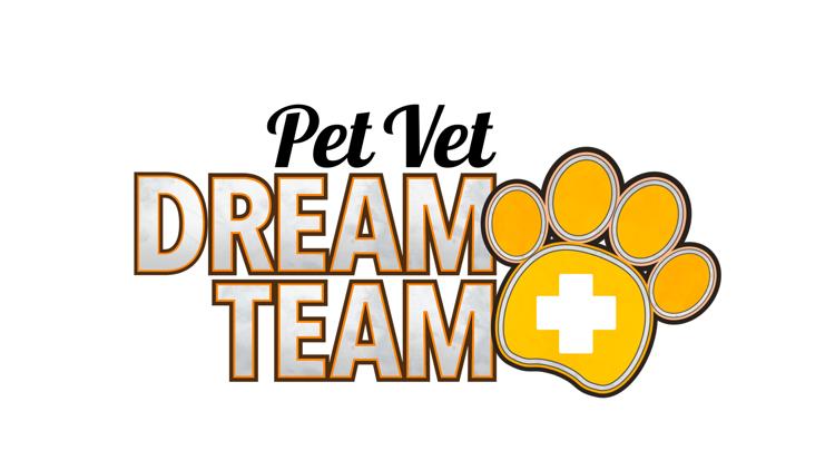 Постер Pet Vet Dream Team