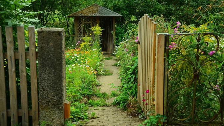 Постер Amazing Spaces - Shed of the Year