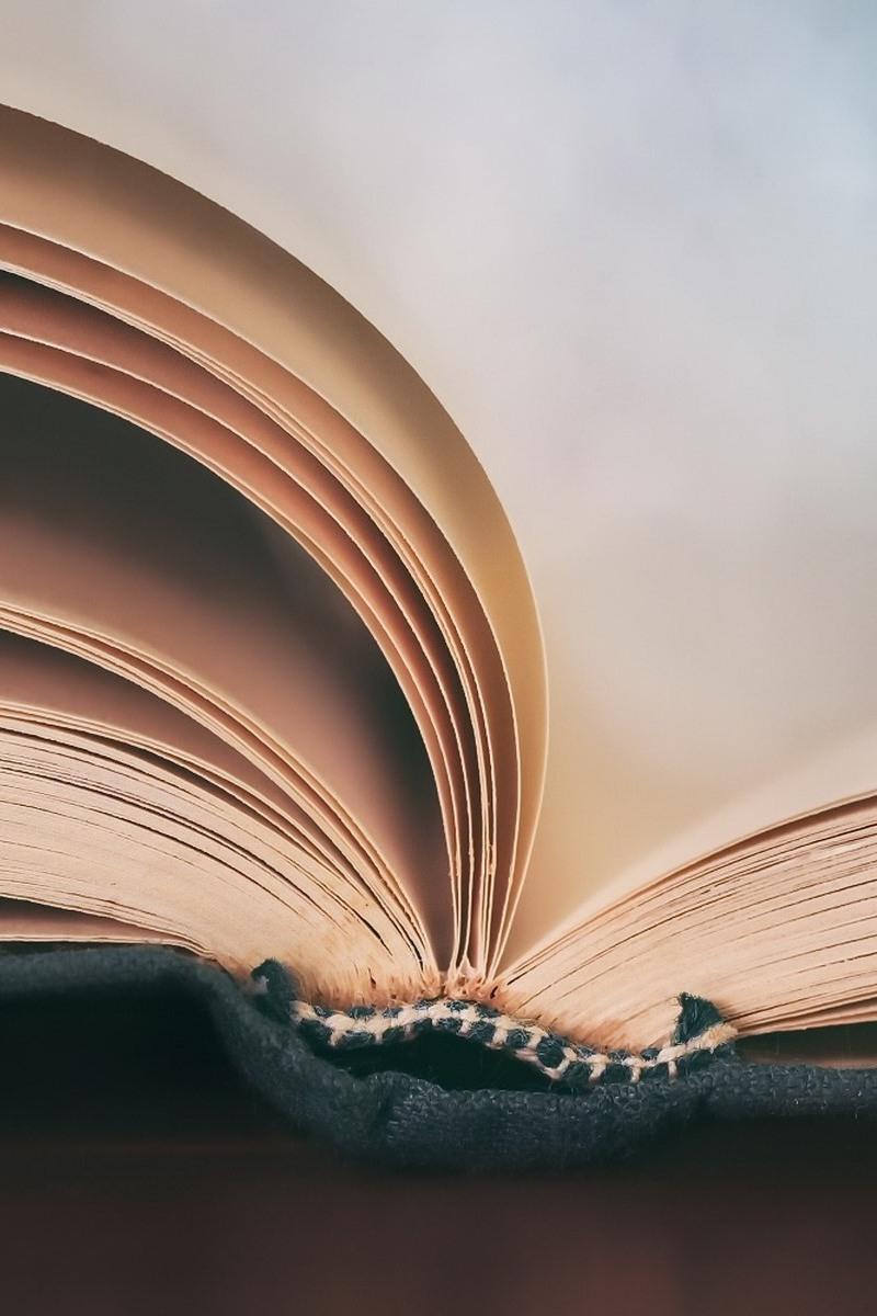 Литературно-художественная программа (literaturno-hudozhestvennaja-programma) Познавательное