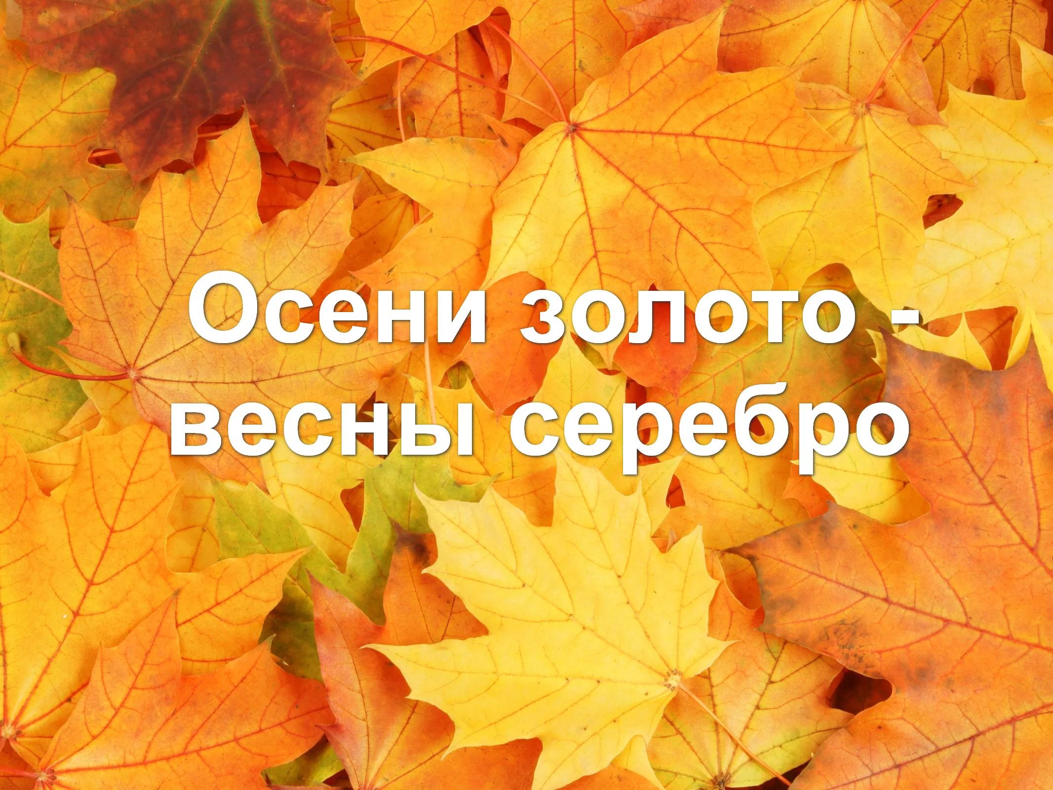 Осени золото - весны серебро (oseni-zoloto-vesny-serebro) Познавательное