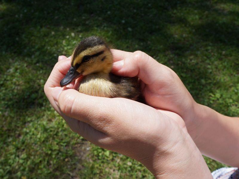 Кузнецкий Алатау-30 лет (kuznetskij-alatau-30-let) Документальный фильм