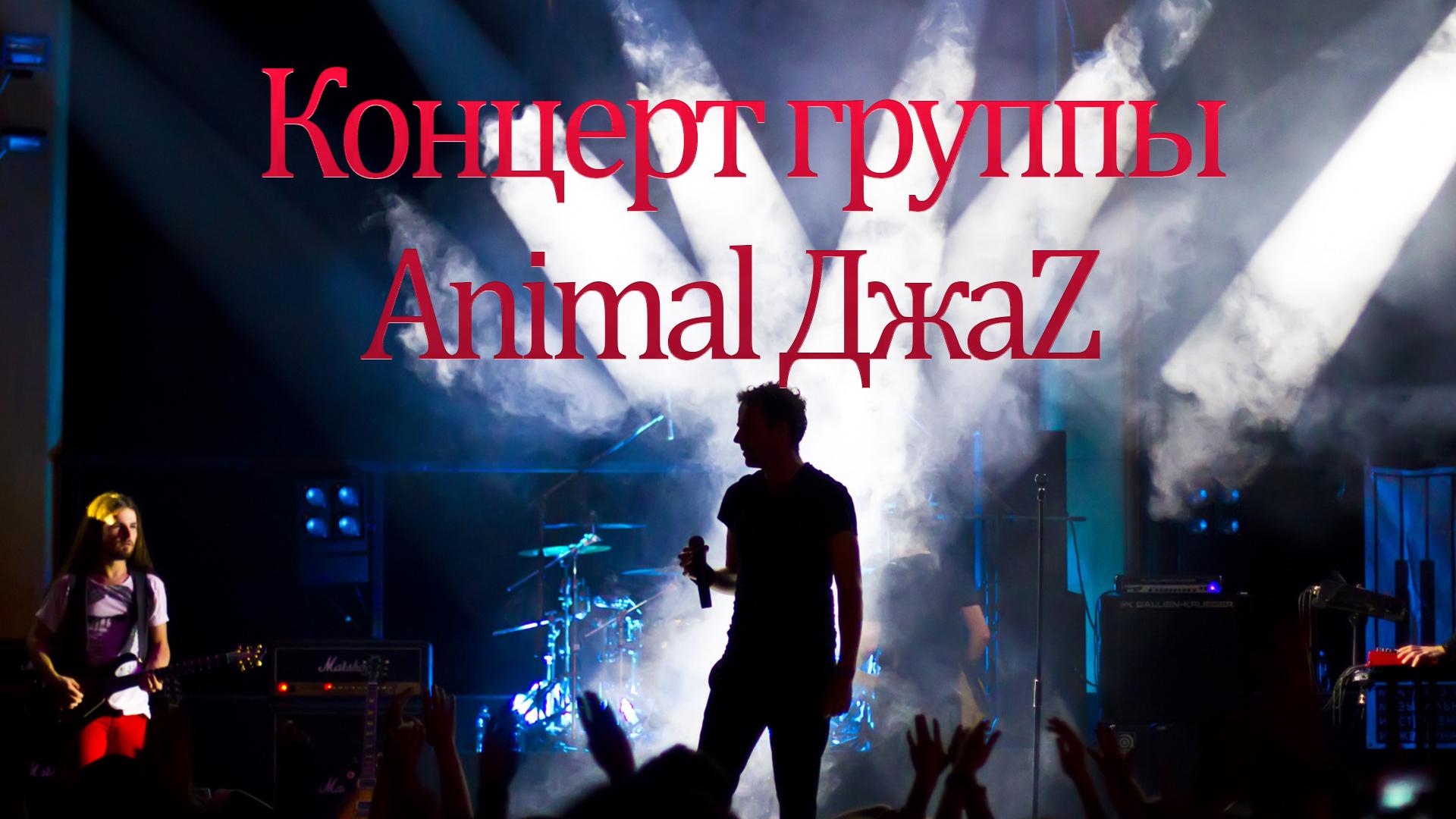 Концерт группы Animal ДжаZ (kontsert-gruppy-animal-dzhaz) Музыка