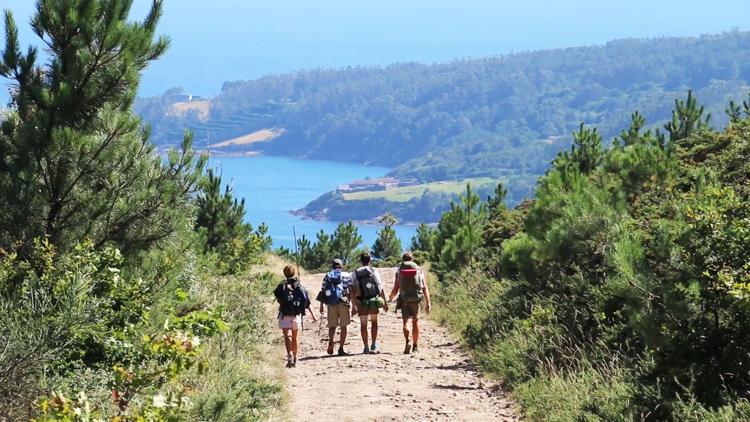 Постер El camino de Santiago