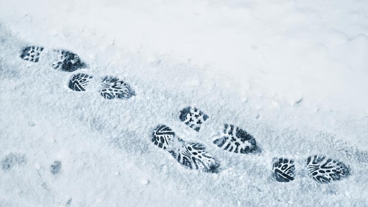 Постер Footsteps in the Snow